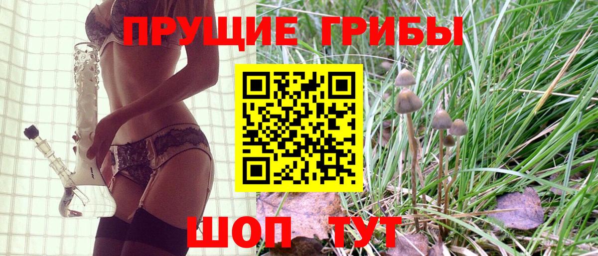 Псилоцибиновые грибы ЛСД  Вход с VPN  Кемерово 