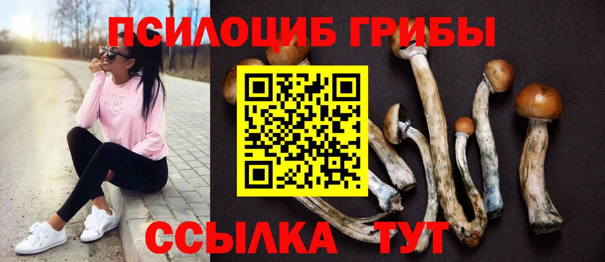 Галлюциногенные грибы Cubensis Кемерово